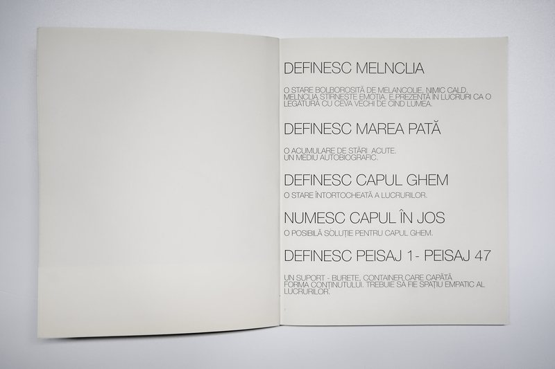 Marea Pată — page 3